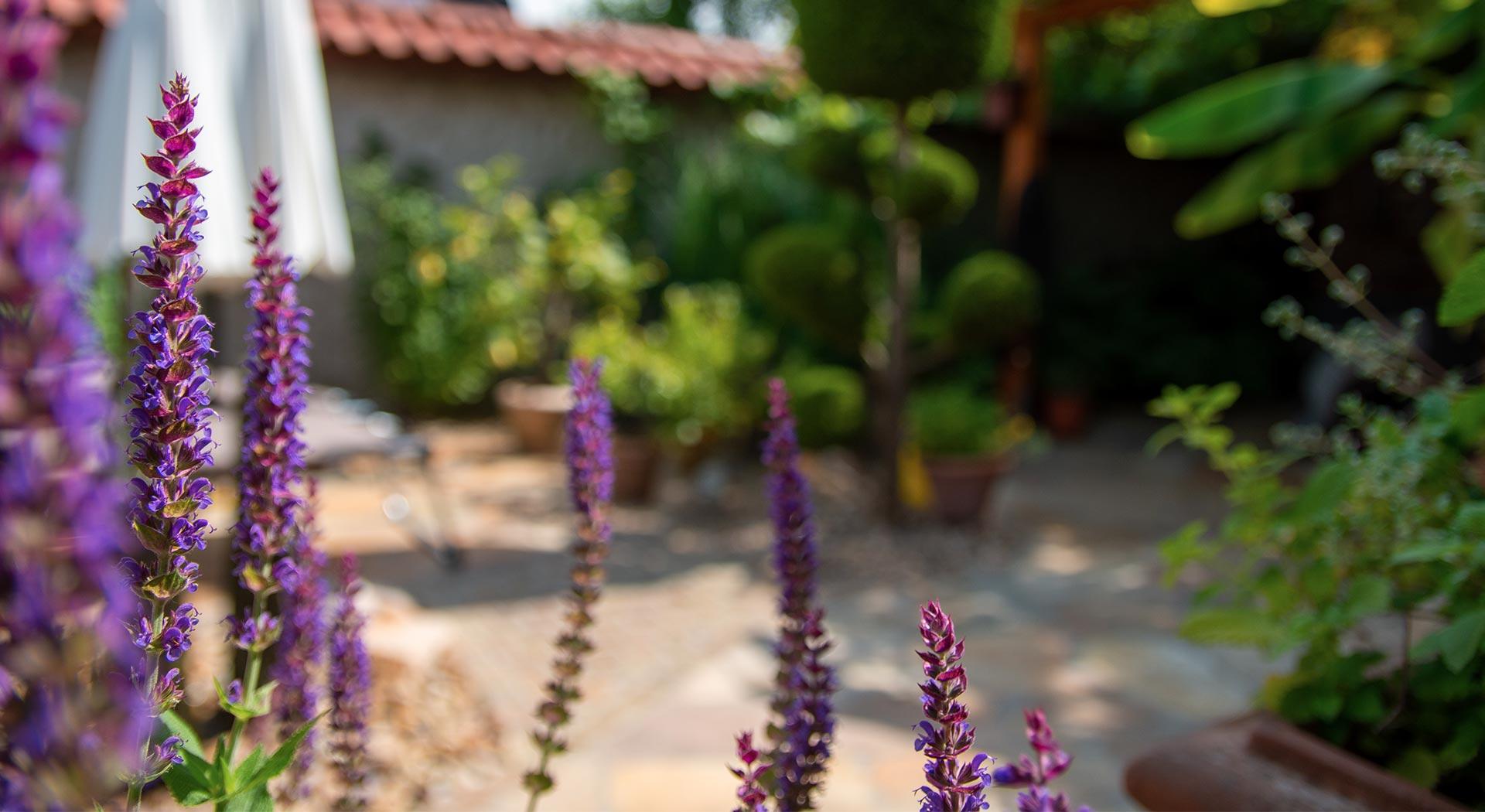 Blick in einen Garten